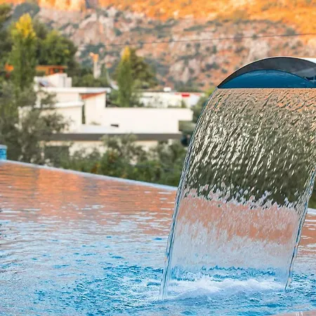 Asal - Kalkan